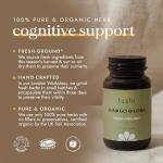 Fushi Organic Ginkgo Biloba Capsules for Memory
