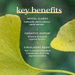 Fushi Organic Ginkgo Biloba Capsules for Memory