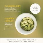 Fushi Organic Ginkgo Biloba Capsules for Memory