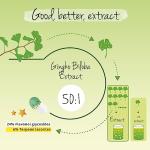 Vegavero Ginkgo Biloba 6000 mg | 180 Vegan Capsules