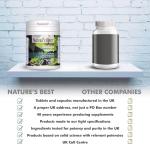 Ginkgo Biloba 6000mg - Vegan Time Release Tablets