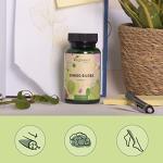 Vegavero Ginkgo Biloba 6000 mg | 180 Vegan Capsules