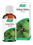 A.Vogel Ginkgo Biloba Vegan Drops, 100ml