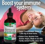 Natural’s Answer Echinacea & Goldenseal, Alcohol-Free, 120 ml