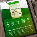 Goldenseal Root Capsules - 600mg High Strength