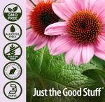 Natural’s Answer Echinacea & Goldenseal, Alcohol-Free, 120 ml