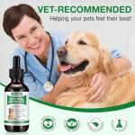Immune Support Drops for Dogs – 60ml Herbal Blend