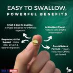 Wild Oregano Oil with Black Seed, Turmeric & Ginger 300 Softgels