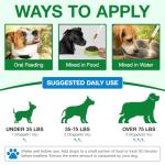 Immune Support Drops for Dogs – 60ml Herbal Blend