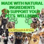Natural Defence Drops for Dogs - Immune Support