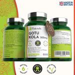 Gotu Kola Vegan Tablets - 500mg Stress Relief