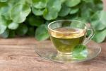 Gotu Kola Leaf Herbal Tea for Brain Health