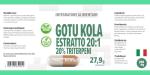 Gotu Kola High Strength Brain Support Supplement 90 Veg Capsules