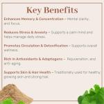 Gotu Kola Powder for Stress & Focus - 1Kg