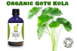 Gotu Kola Tincture - Organic Herbal Remedy 100ml