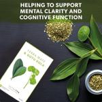 Nutra Tea Yerba Mate & Gotu Kola, 20 Bags