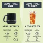 Nutra Tea Yerba Mate & Gotu Kola, 20 Bags