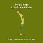 Yogi Morning Energy Herbal Tea, 102 Bags