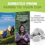 HANDPICK Green Tea Bags - 100% Pure & Gluten Free