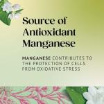 Twinings Jasmine Green Tea Bags - 80 Count