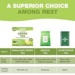 HANDPICK Green Tea Bags - 100% Pure & Gluten Free