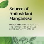 Twinings Pure Green Tea - 80 Tea Bags Pack