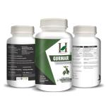 Gurmar Capsules for Blood Sugar Support - 120 Vegan