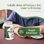 Gurmar Capsules for Blood Sugar Support - 120 Vegan