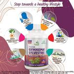 Ayushya Gymnema Sylvestre 500 mg, 60 Capsules