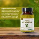 Organic Gymnema Sylvestre 120 Tablets