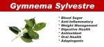 Gymnema Sylvestre 5000mg for Blood Sugar Support