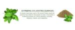 Gymnema Sylvestre 5000mg for Blood Sugar Support