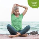 Gymnema Sylvestre Capsules - 750mg Natural Support