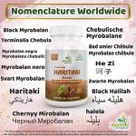 Ayushya Haritaki Capsules, 60 Count, Natural