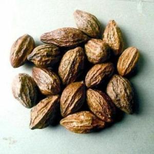 Terminalia Chebula Powder by Masala Cottage, 200g