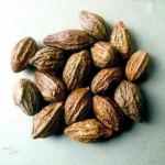 Terminalia Chebula Powder by Masala Cottage, 200g