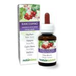 Hawthorn Alcohol-Free Liquid Extract Drops 60ml