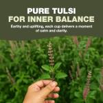 Holy Basil Tea Bags - Caffeine Free Tulsi (100 Count)