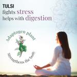 Organic Tulsi Tea - Dried Holy Basil Leaves
