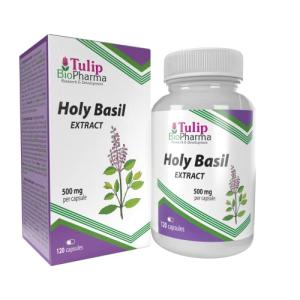 High Strength Tulsi Holy Basil Extract 120 Capsules