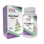High Strength Tulsi Holy Basil Extract 120 Capsules