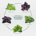 Tulsi Drops - Natural Immunity Booster 30ml