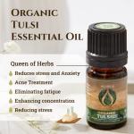 Ecodrop Holy Basil Essential Oil - 5ml