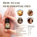 Ecodrop Holy Basil Essential Oil - 5ml
