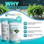 Nettle Leaf Tablets for Allergies and Joint Relief