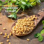 Organic Fenugreek Extract 7500mg - 90 Vegan Capsules