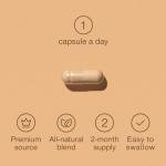 High Strength Panax Ginseng Capsules for Energy & Focus