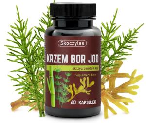 Silicon, Boron, Iodine Capsules - 60 Count