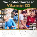 High Strength Vitamin D3, K2 & Zinc Capsules