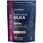 High Strength Silica Supplement 500mg - 120 Capsules